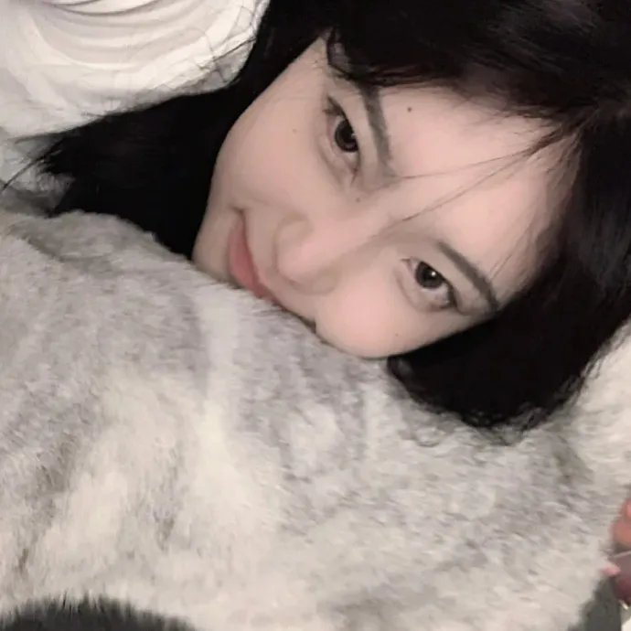 艳谍飞龙