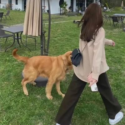 黑暗之夏